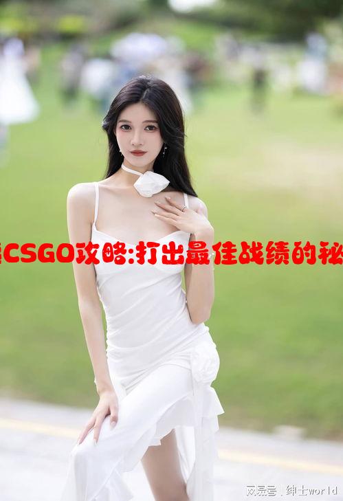 暴躁老阿姨CSGO攻略:打出最佳战绩的秘密技巧分享