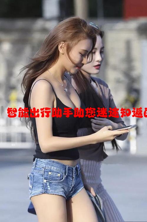 迷鹿导航：智能出行助手助您迷途知返的最佳选择