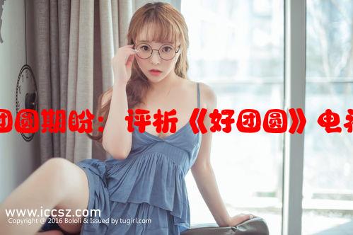 讲述家族情感与团圆期盼：评析《好团圆》电视剧的剧情与意义