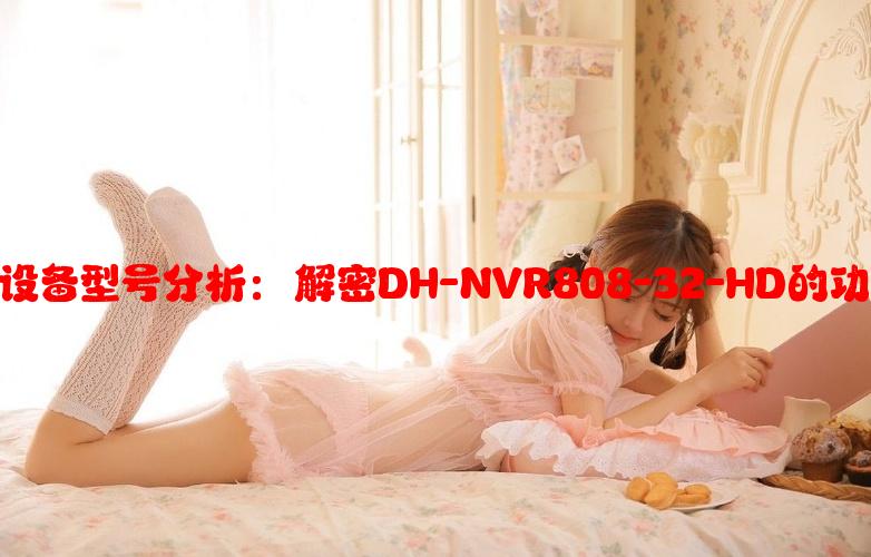 数字监控系统设备型号分析：解密DH-NVR808-32-HD的功能与性能优势