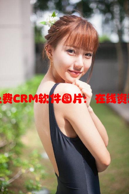 如何获取高质量的免费CRM软件图片：在线资源与创意技巧大揭秘