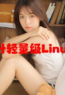 Lubuntu在线观看版：提升轻量级Linux系统下的流媒体体验技巧