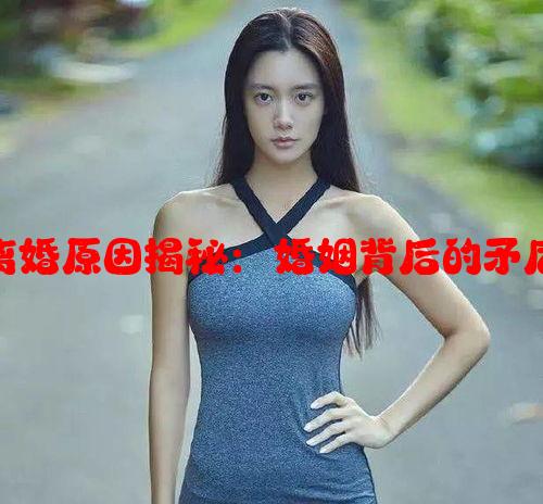 杨子与前妻离婚原因揭秘：婚姻背后的矛盾与抉择分析