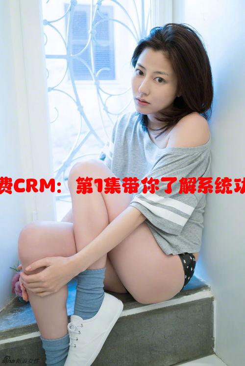 初识成免费CRM：第1集带你了解系统功能与优势