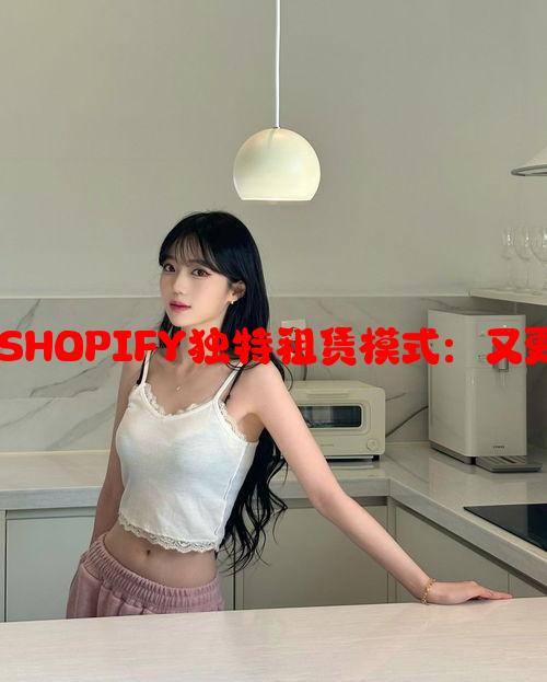 分析俄罗斯市场的SHOPIFY独特租赁模式：又更有何创新与优势？