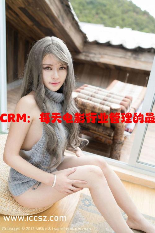 成免费CRM：每天电影行业管理的最佳工具