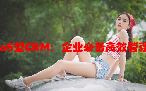 国内永久免费SaaS型CRM：企业必备高效管理工具的选择指南