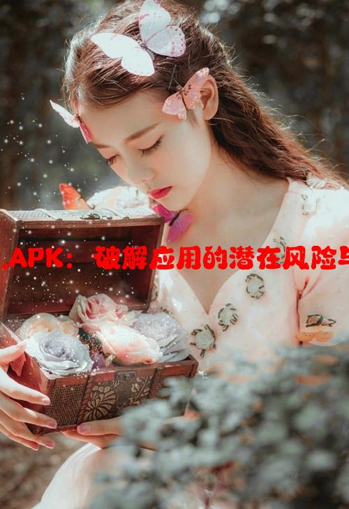 9.1破解版.APK：破解应用的潜在风险与法律影响