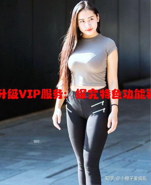 免费CRM升级VIP服务：探究特色功能和价值提升