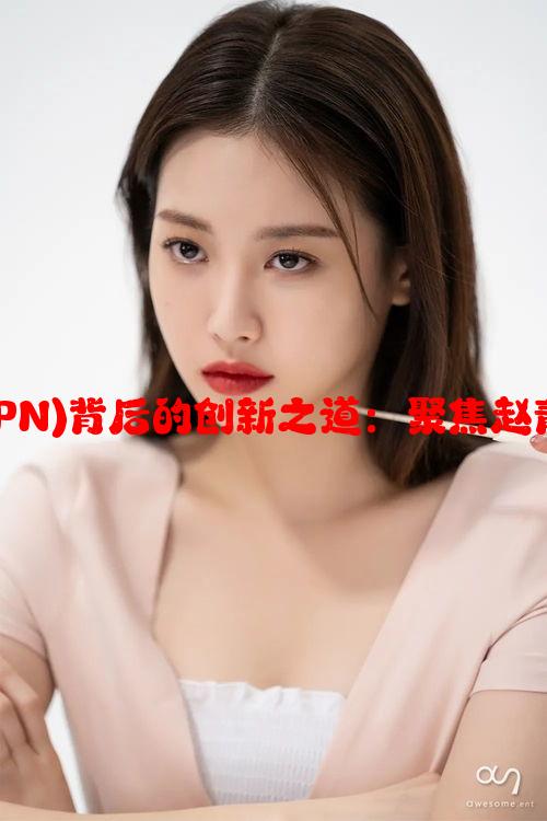 角色扮演系统(NPN)背后的创新之道：聚焦赵青蔓的贡献与影响